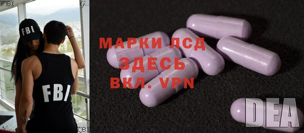 гашик Чердынь