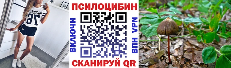 Псилоцибиновые грибы мицелий  shop какой сайт  Любим 